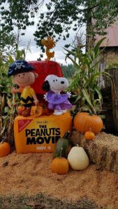 the peanuts pumpkin movie