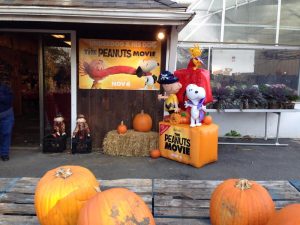 the peanuts pumpkin movie