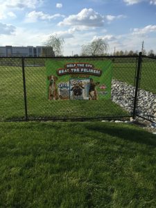 zionsville country kennel