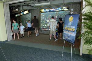 zoo aquariums banner