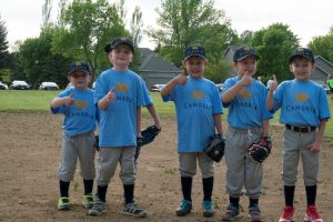 cambria-baseball team