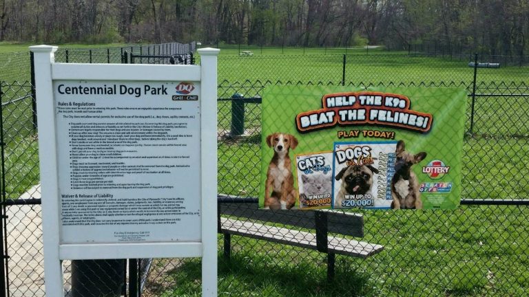 Dog Park Advertising Media Campaign - All Points Media